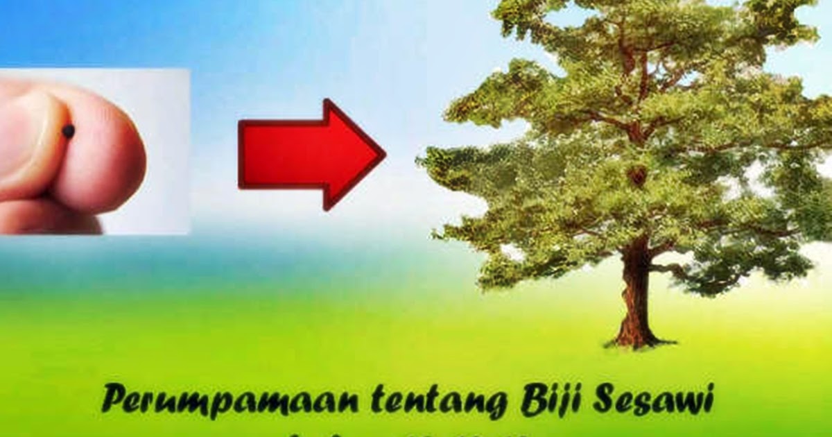 Detail Perumpamaan Biji Sesawi Nomer 11