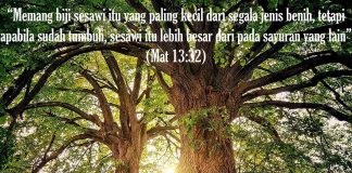 Detail Perumpamaan Biji Sesawi Nomer 12