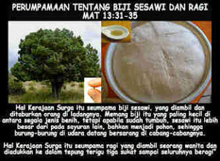 Detail Perumpamaan Biji Sesawi Nomer 3