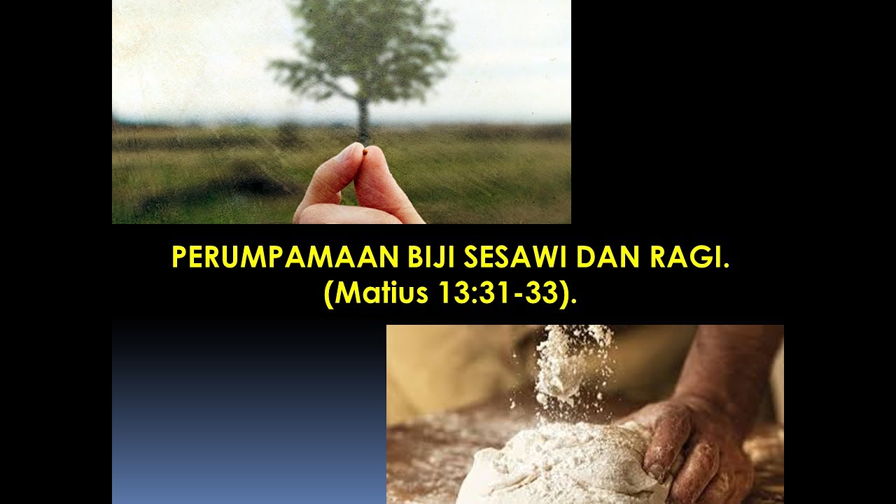 Detail Perumpamaan Biji Sesawi Nomer 20