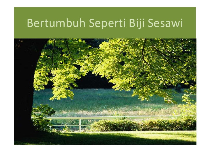 Detail Perumpamaan Biji Sesawi Nomer 26