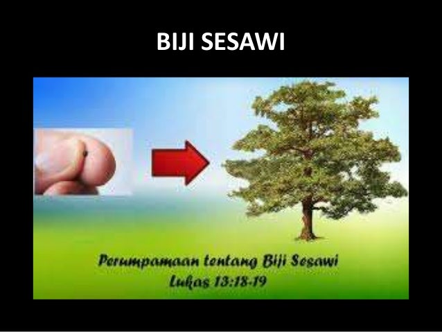 Detail Perumpamaan Biji Sesawi Nomer 42