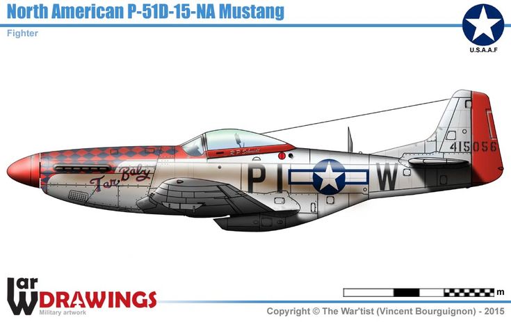 Detail Pesawat P 51 Mustang Nomer 42