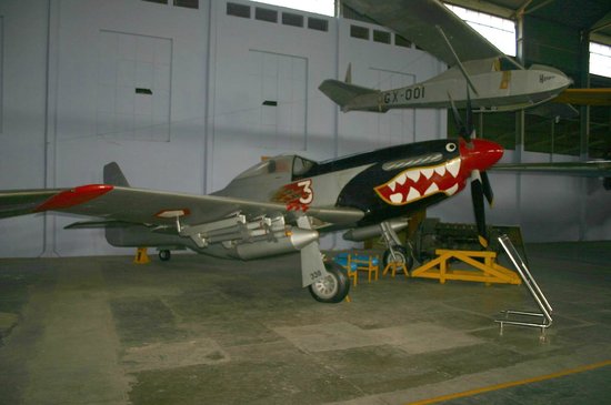 Detail Pesawat P 51 Mustang Nomer 50