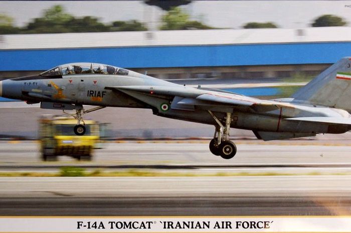 Detail Pesawat Tempur Tomcat Nomer 50