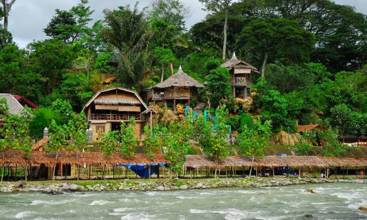 Detail Pesona Bukit Lawang Nomer 17