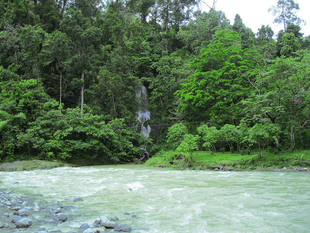 Download Pesona Bukit Lawang Nomer 49