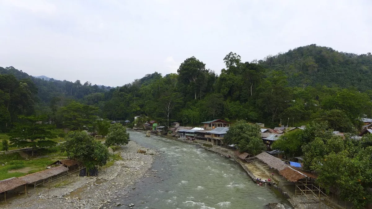 Detail Pesona Bukit Lawang Nomer 53