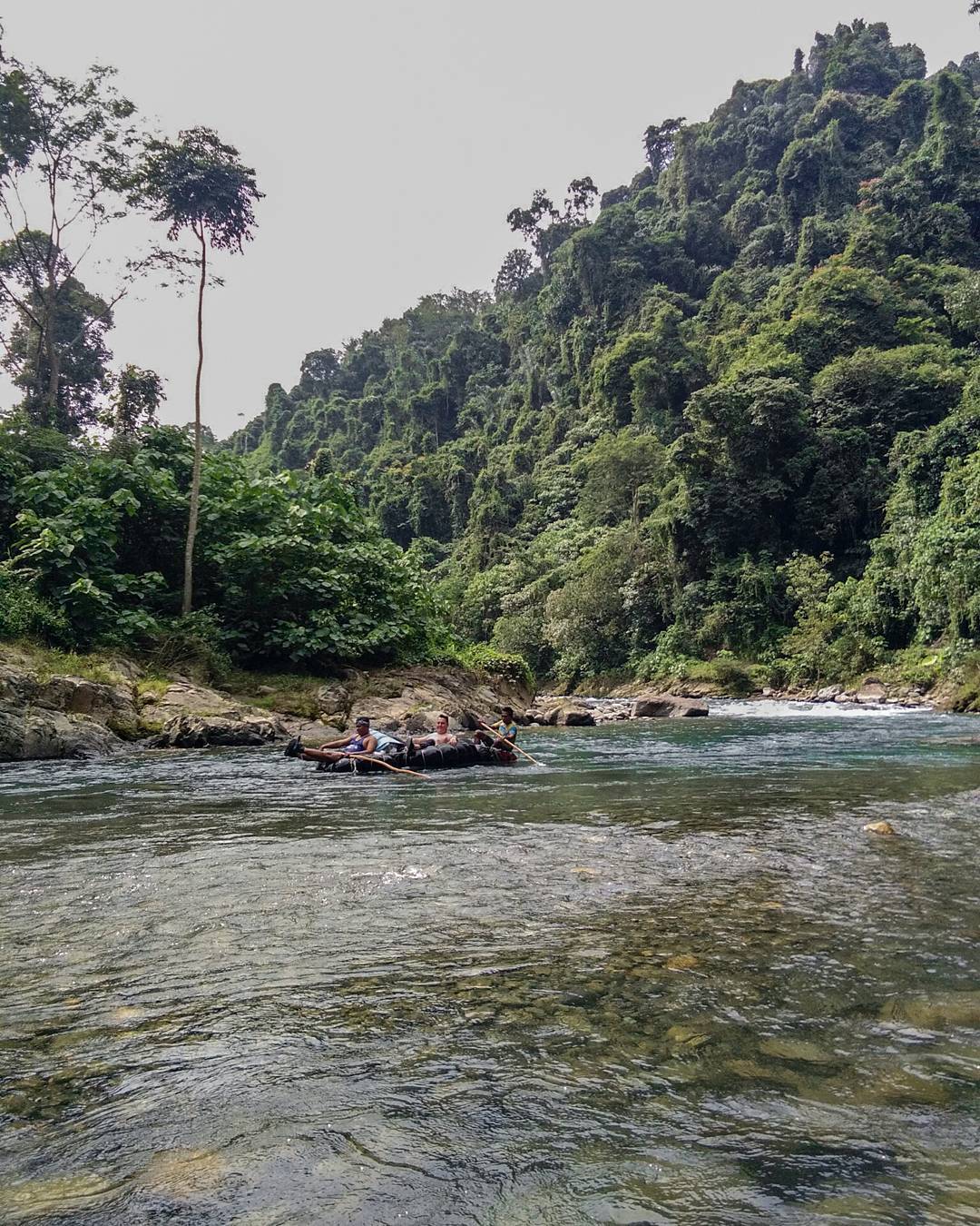 Detail Pesona Bukit Lawang Nomer 9