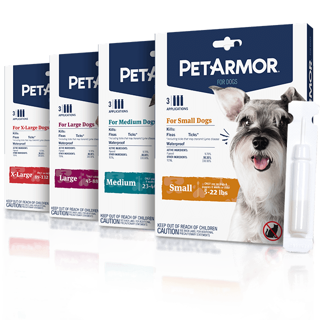 Detail Pet Armor Flea Shampoo Nomer 60