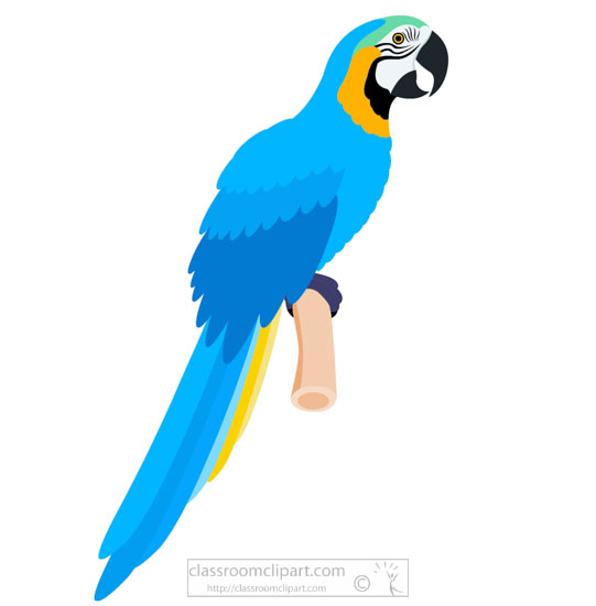 Detail Pet Bird Clipart Nomer 44