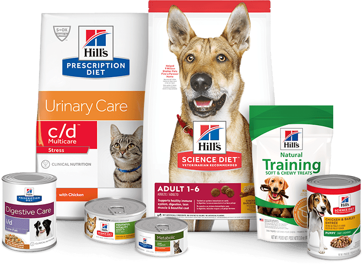 Detail Pet Food Images Nomer 18