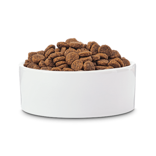 Detail Pet Food Images Nomer 34