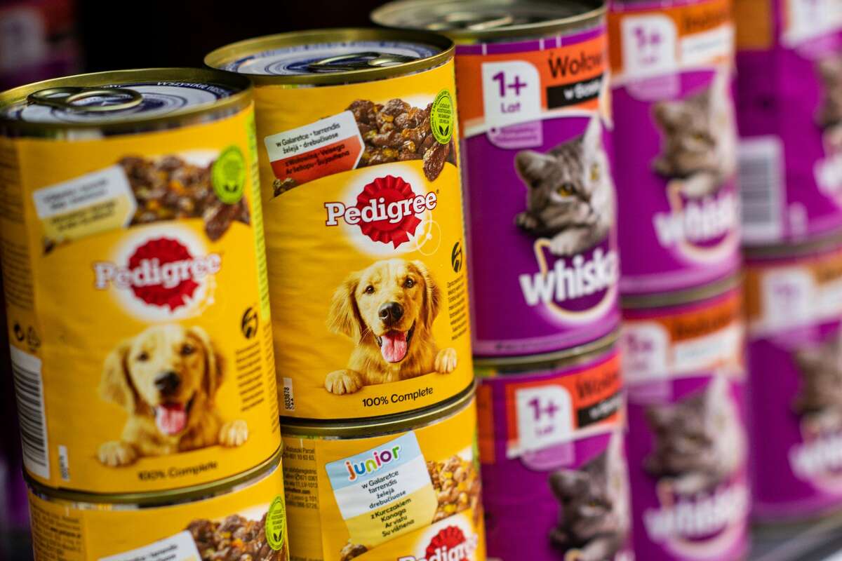 Detail Pet Food Images Nomer 6