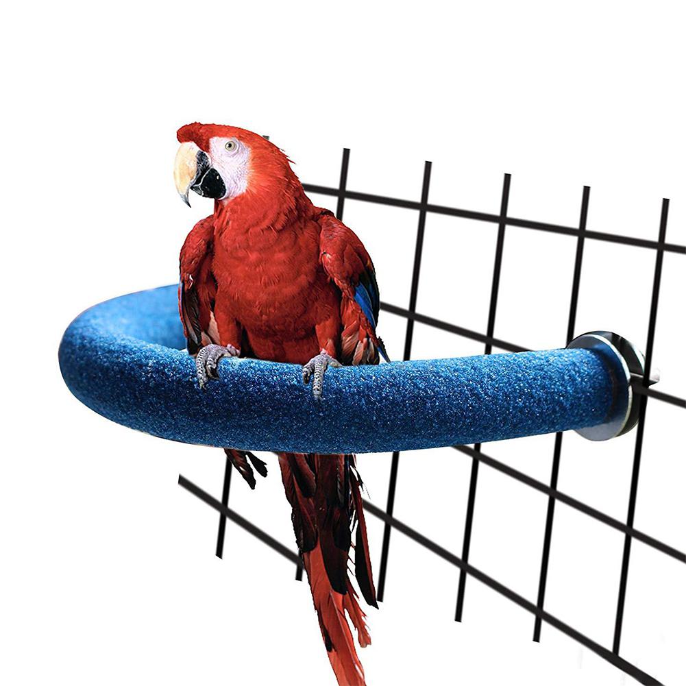 Detail Pet Parrot In Bird Cage Minecraft Nomer 24