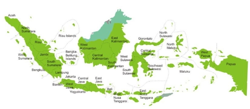 Detail Peta Indonesia Polos Hijau Nomer 20
