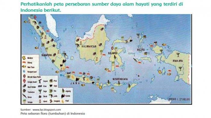 Detail Peta Indonesia Terbaru Gambar Peta Buta Indonesia Terbaru Nomer 44