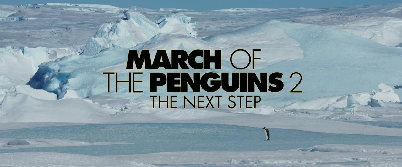 Detail March Of The Penguins Torrent Nomer 6