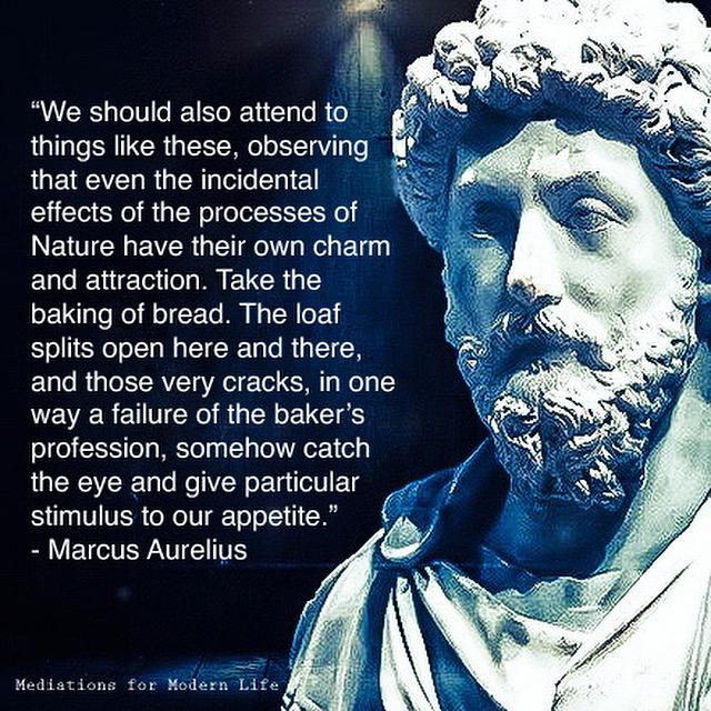 Detail Marcus Aurelius Meditations Quotes Nomer 24