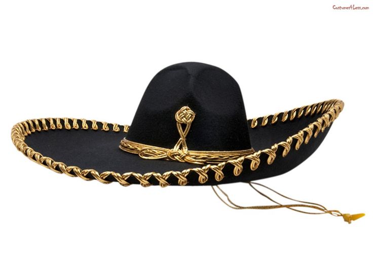 Detail Mariachi Hat Png Nomer 16