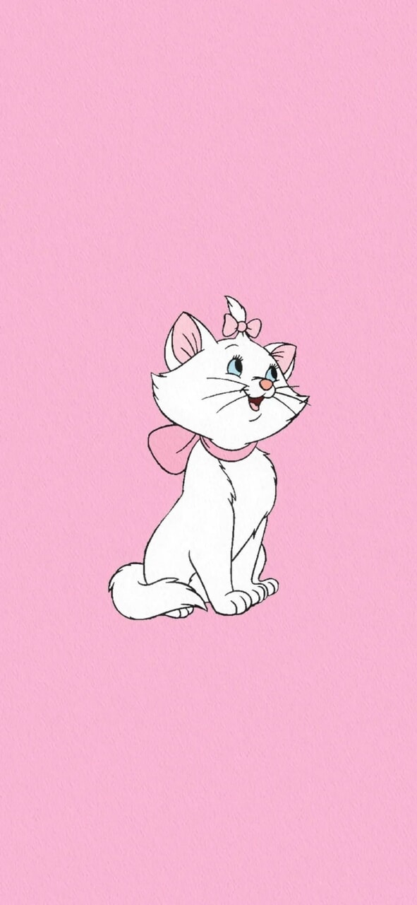 Detail Marie Cat Wallpaper Nomer 17