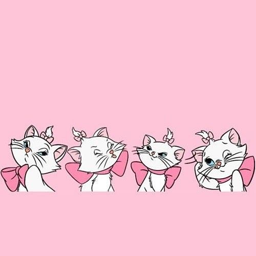 Detail Marie Cat Wallpaper Nomer 25