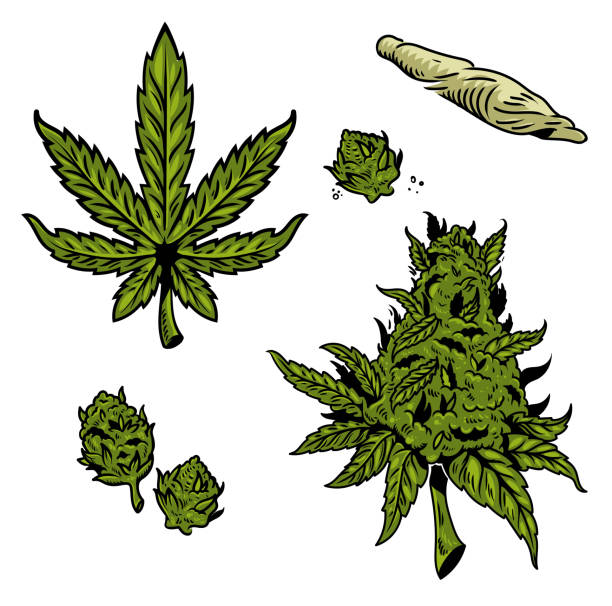Detail Marihuana Images Nomer 13