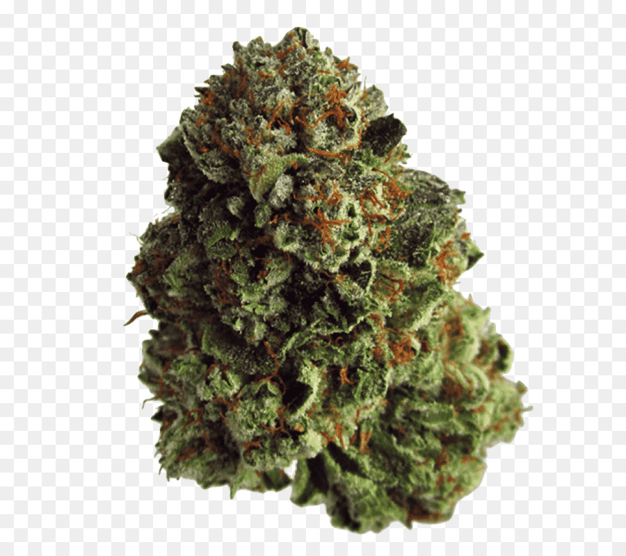 Detail Marihuana Png Nomer 37