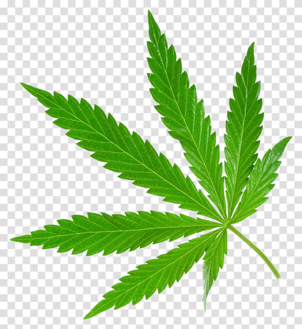 Detail Marijuana Clipart Free Nomer 20