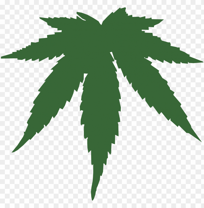 Detail Marijuana Leaf No Background Nomer 33