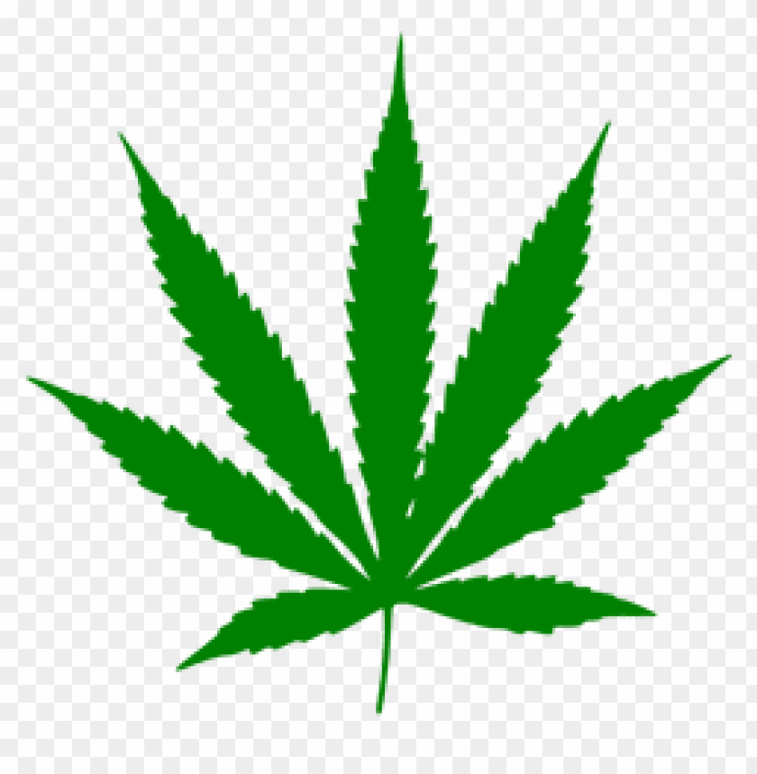 Detail Marijuana Leaf No Background Nomer 8