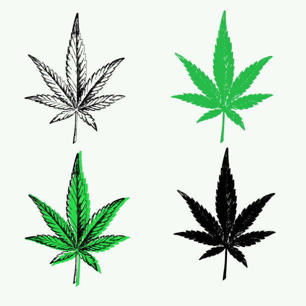 Detail Marijuana Leaf Outline Nomer 24