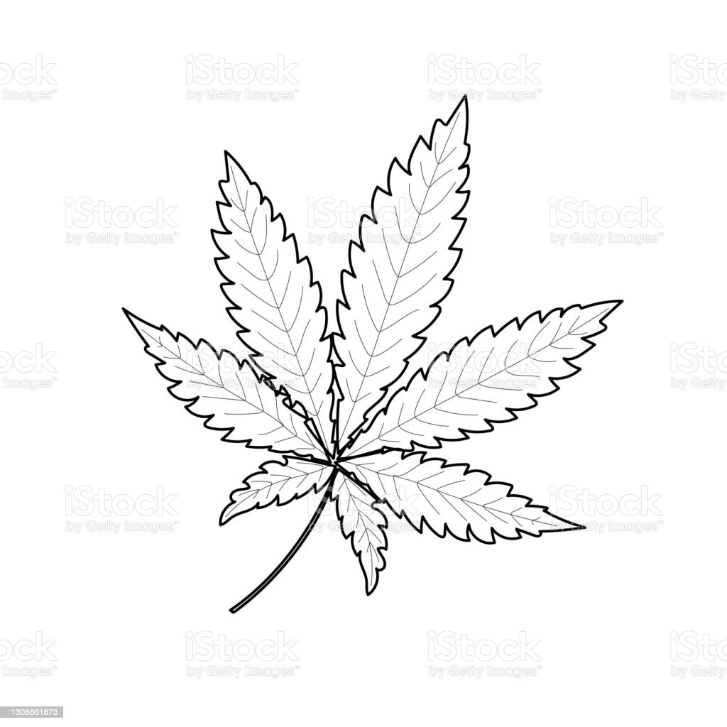 Detail Marijuana Leaf Outline Nomer 31