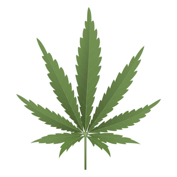 Detail Marijuana Leaf Outline Nomer 49