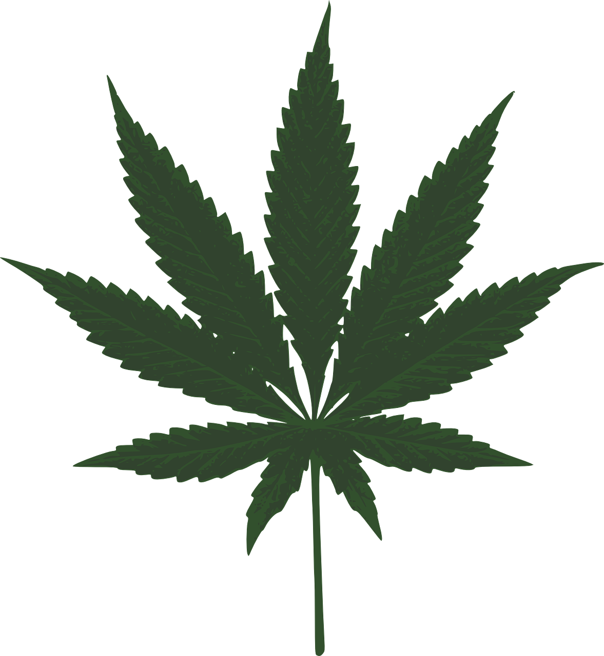 Detail Marijuana Leaf Pics Nomer 18