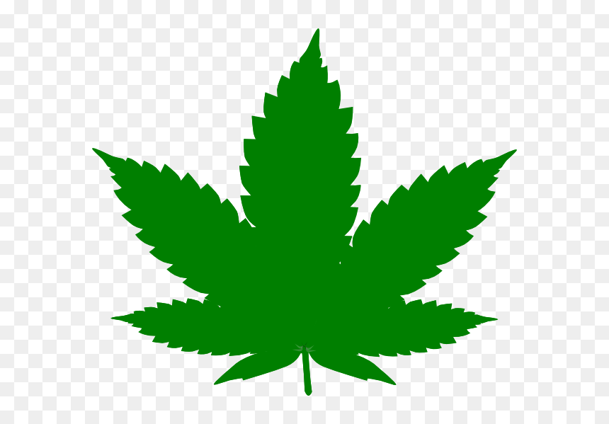 Detail Marijuana Leaf Png Nomer 25