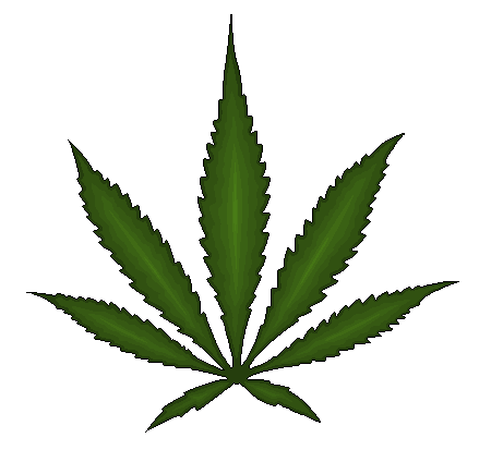 Detail Marijuana Leaf Png Nomer 9