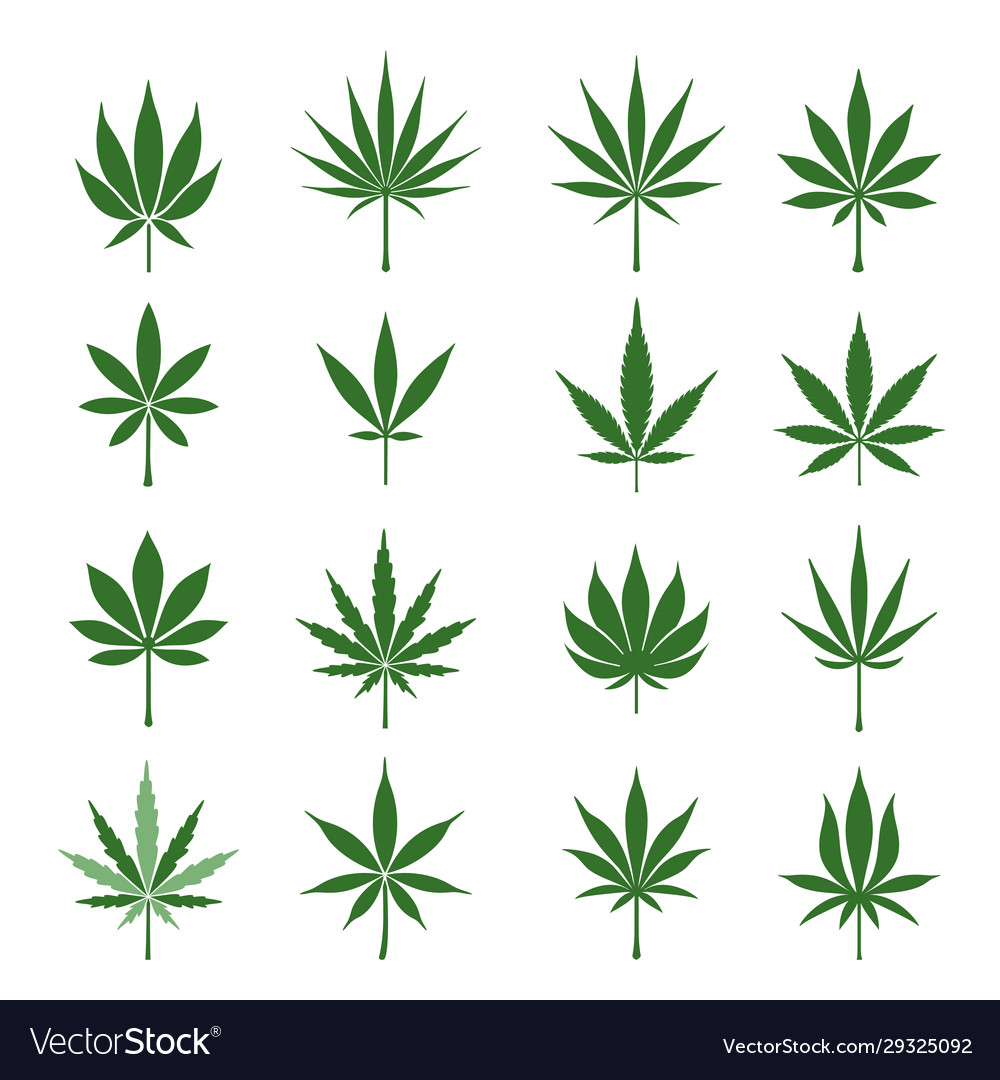 Detail Marijuana Leaves Pics Nomer 5