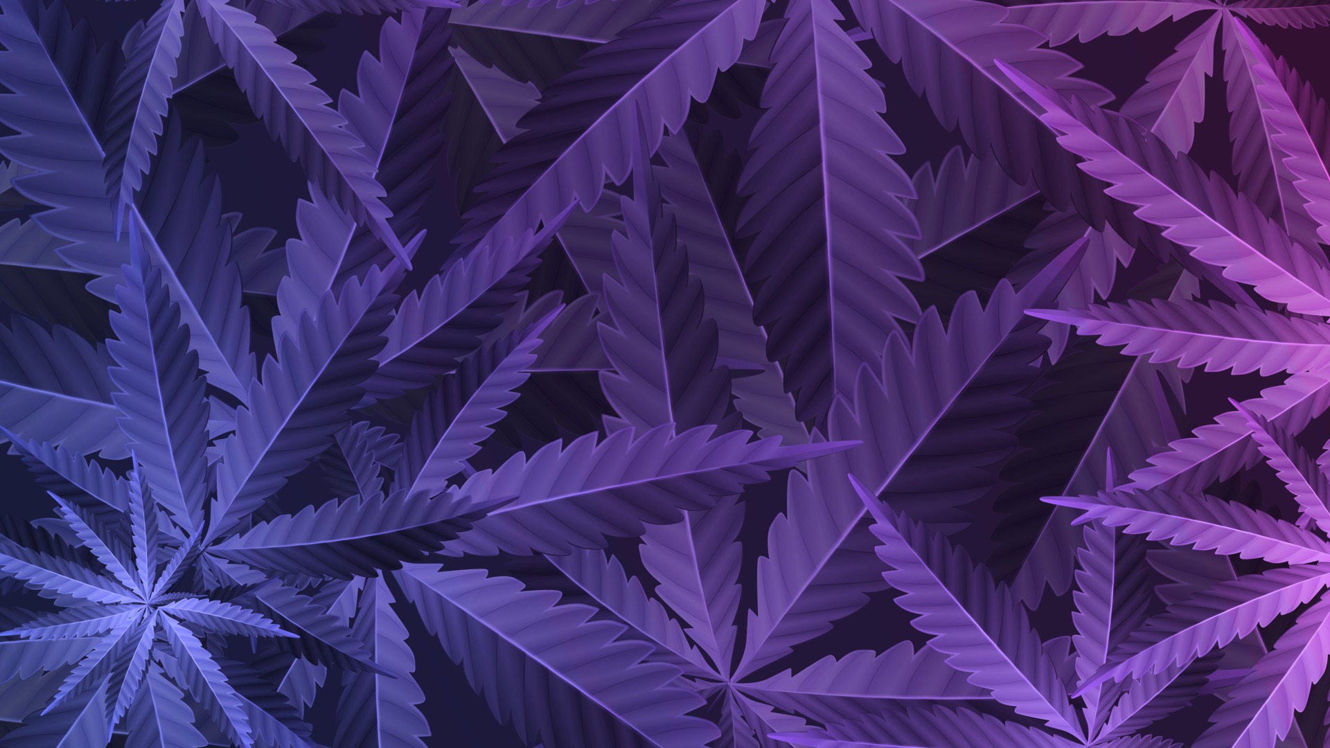 Detail Marijuana Plant Wallpaper Nomer 32