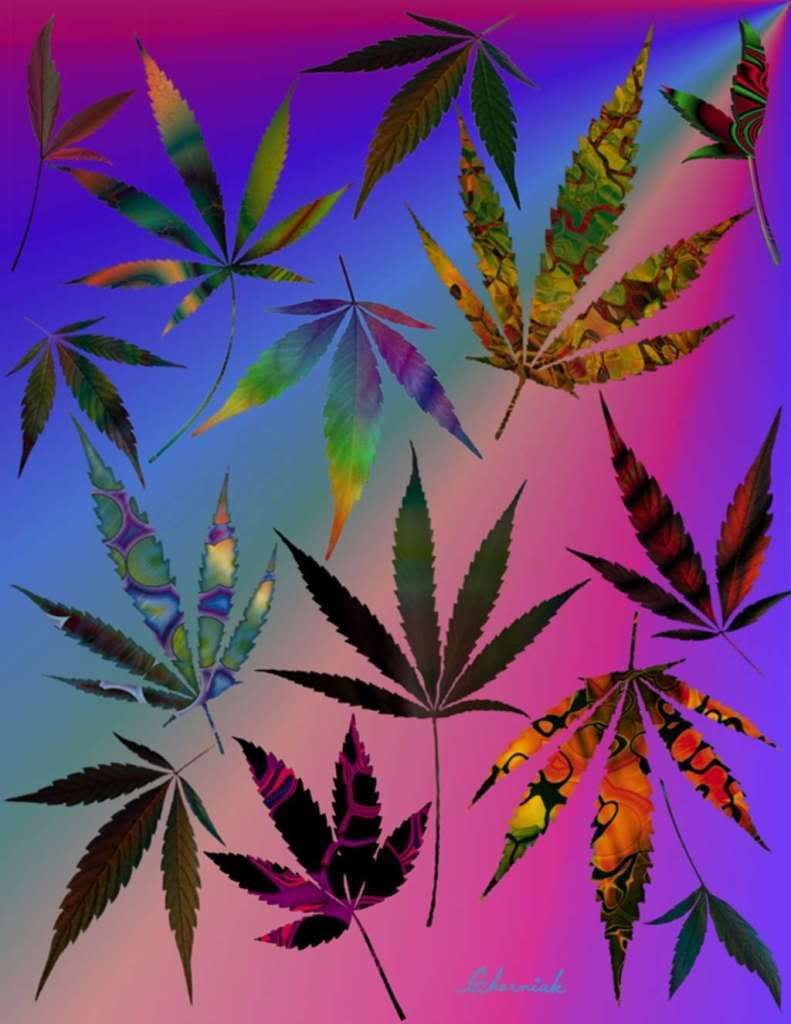 Detail Marijuana Plant Wallpaper Nomer 54