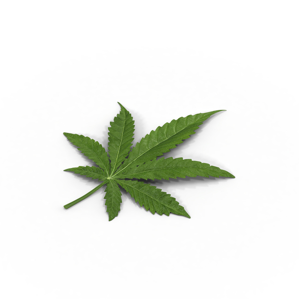 Detail Marijuana Png Nomer 35