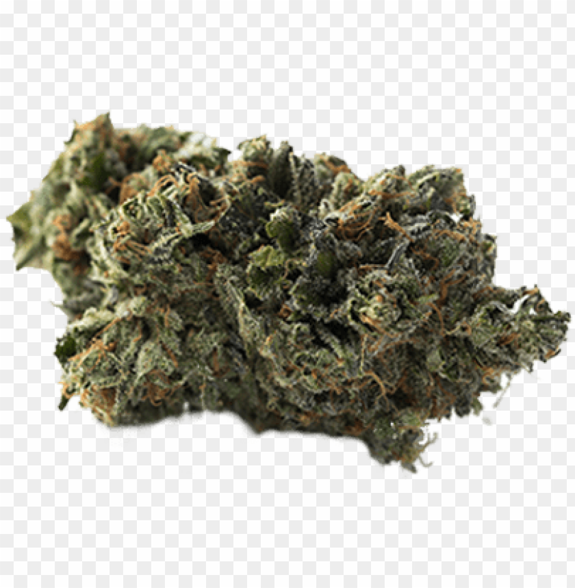 Detail Marijuana Png Nomer 41