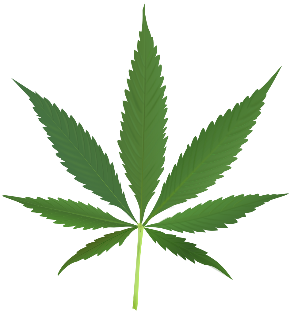 Detail Marijuana Png Nomer 7