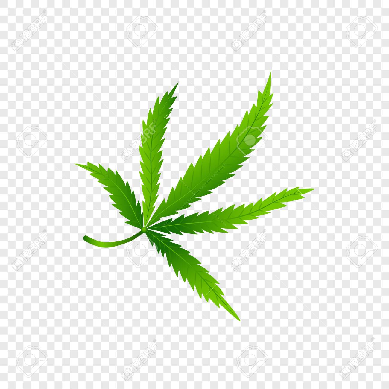 Detail Marijuana Transparent Nomer 41