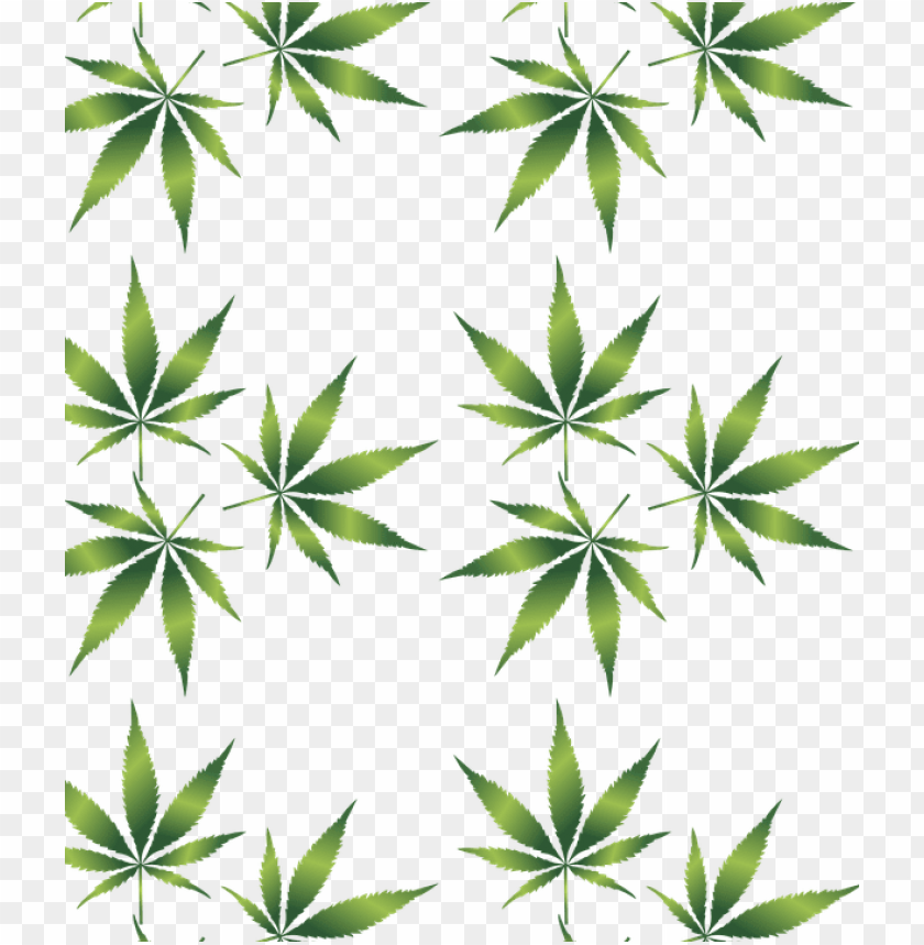 Detail Marijuana Transparent Background Nomer 56