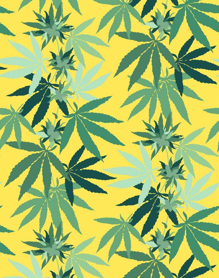 Detail Marijuana Wallpaper Nomer 12