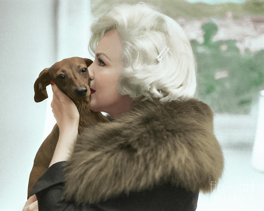 Detail Marilyn Monroe Dachshund Nomer 2