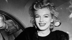 Detail Marilyn Monroe Desktop Wallpapers Nomer 31