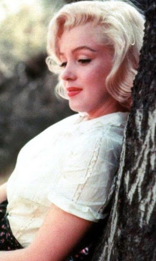 Detail Marilyn Monroe Wallpapers For Android Nomer 44