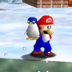 Detail Mario 64 Penguin Meme Nomer 56